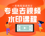 专业去视频水印教程 静态水印、动态水印、文字水印、图片水印一套教程通通搞定-升阶有道