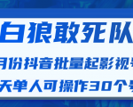 白狼敢死队最新抖音短视频批量起影视号（一天单人可操作30个号）视频课程-升阶有道