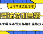 卓凡引流特训营第一期:高手零成本引流秘籍和操作技巧,让你精准流量倍增-升阶有道