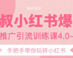 狼叔小红书爆款推广引流训练课4.0，手把手带你玩转小红书-升阶有道