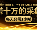 年赚十万的采集站，每天却只需要1小时，一年时间采集出一个售价10W以上的网站-升阶有道