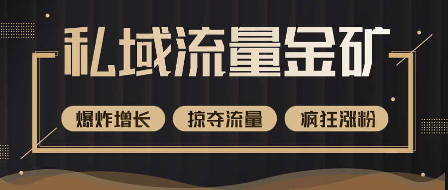 价值2200元私域流量的金矿，循环获取各大媒体精准流量，无限复制网红的精准流量！-升阶有道