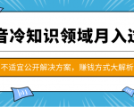 抖音冷知识领域月入过万项目,不适宜公开解决方案 ,抖音赚钱方式大解析!-升阶有道