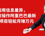 利用信息差异,零投资操作阿里巴巴最新管道项目轻松月赚10000+-升阶有道