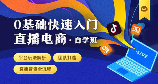 0基础快速入门直播电商课程：直播平台玩法解析-团队打造-带货全流程等环节-升阶有道