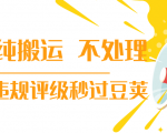 抖音纯搬运 不处理 小技巧，30秒发一个作品，避免违规评级秒过豆荚-升阶有道