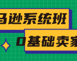 亚马逊系统班，专为0基础卖家量身打造，亚马逊运营流程与架构-升阶有道