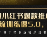 小红书爆款推广引流训练课5.0,手把手带你玩转小红书(17节实操视频+话术)-升阶有道