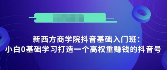 抖音基础入门班：小白0基础学习打造一个高权重赚钱的抖音号-升阶有道