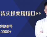 柚子分享课：微信视频号变现攻略，新手零基础轻松日赚千元-升阶有道