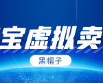 黑帽子淘宝虚拟卖货项目，单店每月收入5000+-升阶有道