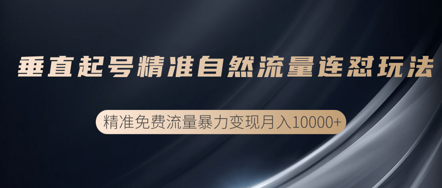 垂直起号精准自然流量连爆玩法，精准引流暴力变现月入10000+-升阶有道