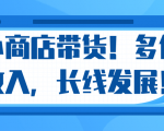 微信小商店带货,爆单多倍收入,长期复利循环!日赚300-800元不等-升阶有道