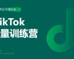 2020最新TikTok流量增长训练营（完结）附PPT-升阶有道