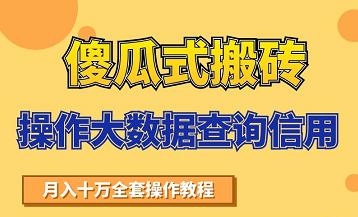 搬砖操作大数据查询信用项目赚钱教程，祝你快速月入6万-升阶有道