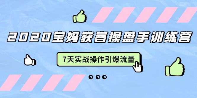 2020宝妈获客操盘手训练营：7天实战操作引爆 母婴、都市、购物宝妈流量-升阶有道