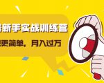 视频号新手实战训练营,让变现更简单,玩赚视频号,轻松月入过万-升阶有道