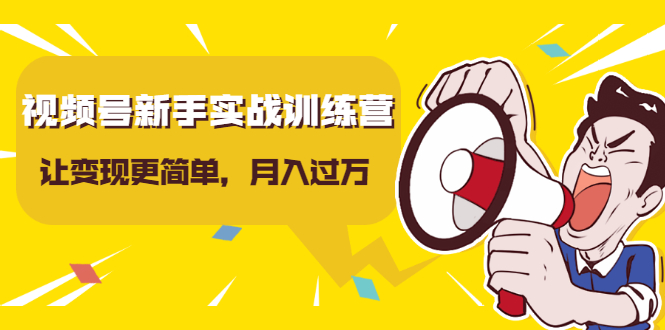 视频号新手实战训练营，让变现更简单，玩赚视频号，轻松月入过万-升阶有道