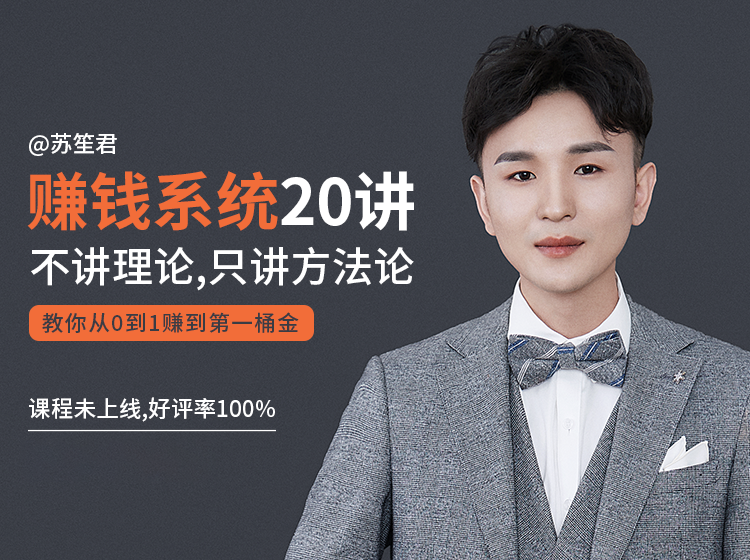 苏笙君的赚钱系统20课 教你从0到1赚到你的第一桶金（不讲理论，只讲方法论）-升阶有道
