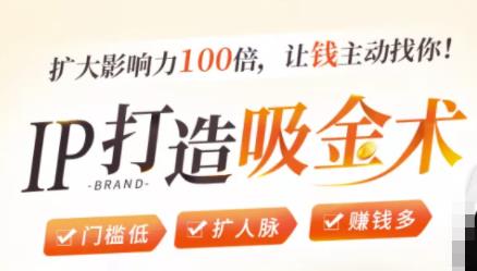IP打造吸金术：0基础0资源，也能扩大影响力100倍，让钱主动找你！-升阶有道