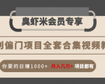 暴利偏门项目全套合集视频教程：你要的日赚1000+月入几万+项目都有-升阶有道