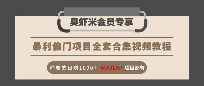 暴利偏门项目全套合集视频教程：你要的日赚1000+月入几万+项目都有-升阶有道