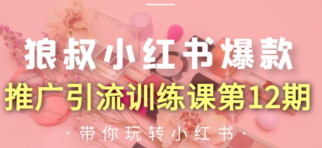 狼叔小红书爆款推广引流训练课第12期，手把手带你玩转小红书-升阶有道