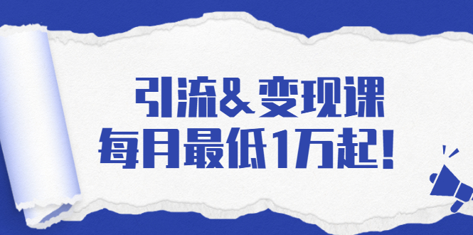 引流&变现课：分享一整套流量方法以及各个渠道收入，每月最低1万起！-升阶有道