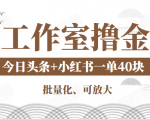 工作室撸金二件套:撸今日头条原创收益+小红书一单利润40块项目-升阶有道
