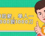Paypal拉新赚美刀项目，单人一天利润500-1000刀【视频课程】-升阶有道