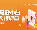 雨课·亚马逊小白特训营第9期 跨境电商挺赚钱的 有朋友已经月入几十万美金-升阶有道