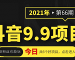 抖音9.9课程项目，没粉丝也能卖课，一天300+粉易变现-升阶有道