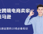 职业跨境电商卖家聊亚马逊:亚马逊运营的10项必备知识,12堂课让你看懂亚马逊运营-升阶有道