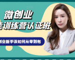 微创业全能训练营认证班课程,从理论知识与实际案例手把手指导创业新手如何从零到有-升阶有道