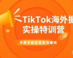 TikTok海外掘金实操特训营：手把手教运营变现赚钱-升阶有道