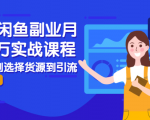 2021闲鱼副业月入过万实战课程：从开店到选择货源到引流，全程实战教学-升阶有道