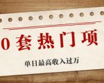 30套热门项目：单日最高收入过万 (网赚项目、朋友圈、涨粉套路、抖音、快手)等-升阶有道