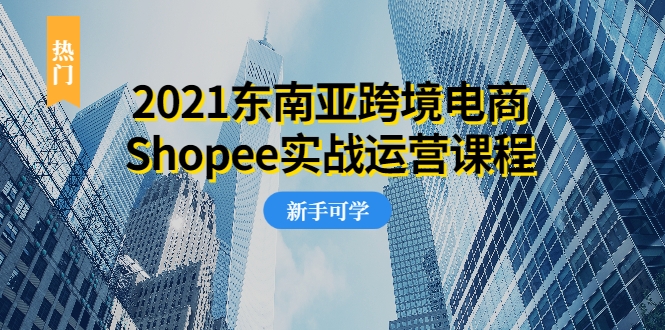 2021东南亚跨境电商Shopee实战运营课程，0基础、0经验、0投资的副业项目-升阶有道