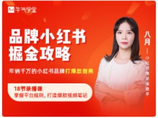 品牌小红书掘金攻略，年销千万的小红书品牌打爆款指南-升阶有道