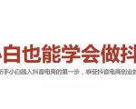 2021最新抖音小店无货源课程，小白也能学会做抖店，轻松月入过万-升阶有道