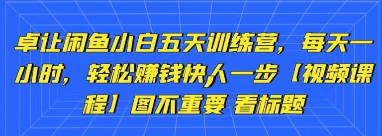 卓让闲鱼小白五天训练营，每天一小时，轻松赚钱快人一步-升阶有道
