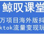 鲸叹号·海外TIKTOK训练营，百万项目海外版抖音tiktok流量变现玩法-升阶有道