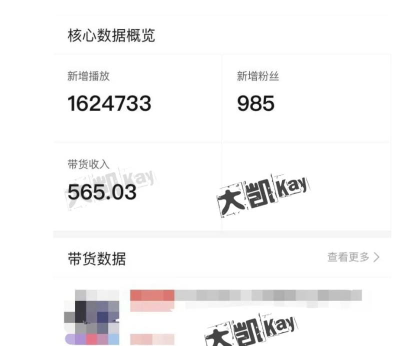 大凯进阶圈新玩法之拼多多视频玩法，利润大概一个号一天能有500~1500的左右!-升阶有道