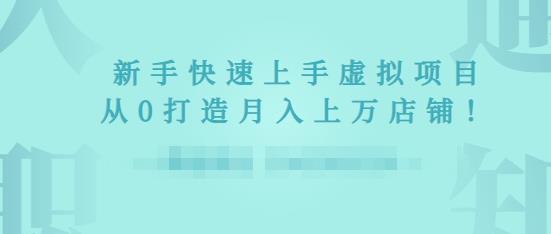 2022年虚拟项目实战指南，新手从0打造月入上万店铺-升阶有道
