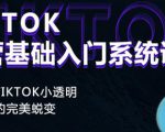 Tiktok实操进阶课程，体验从tiktok小透明到大佬的完美蜕变-升阶有道