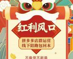 左右电商拼多多无货源店群玩法：从0~1，36节实战保姆教程，​极速起店必出单-升阶有道