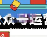 零零已久·从0-1运营公众号，零基础小白也能上手，系统性了解公众号运营-升阶有道