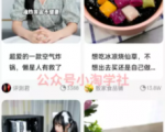 京东视频带货项目分享,发视频就能操作赚钱-升阶有道