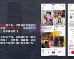 麦子互娱短视频带货·0基础做好物分享账号,无需出镜无需货源无需拍摄-升阶有道