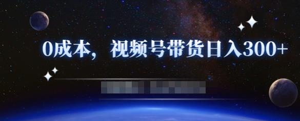 零基础视频号带货赚钱项目，0成本0门槛轻松日入300+【视频教程】-升阶有道